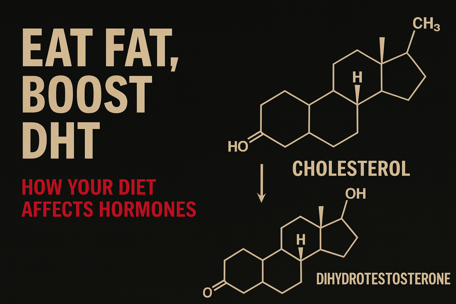 Eat Fat, Boost DHT: The Hidden Link Between Food and Hormones