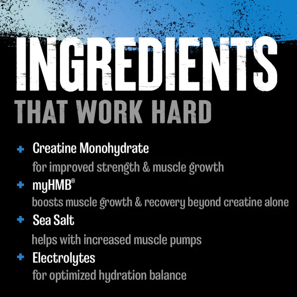 Animal Creatine HMB+™ Powder - 327 g