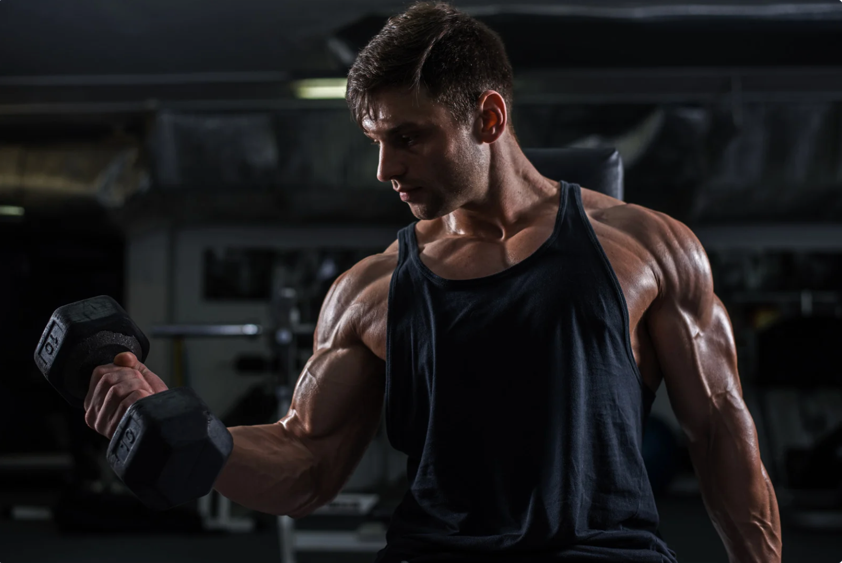 What is Stim-Free Pre-Workout?