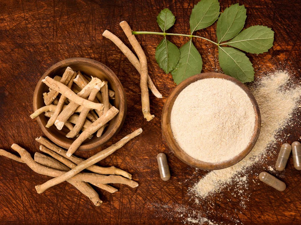 Ashwagandha: Ancient Super-Herb - RED SUPPS