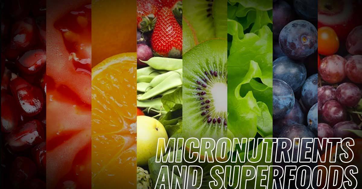PHYT-O-FLIGHT: BALANCED EATING & MICRONUTRIENTS - RED SUPPS