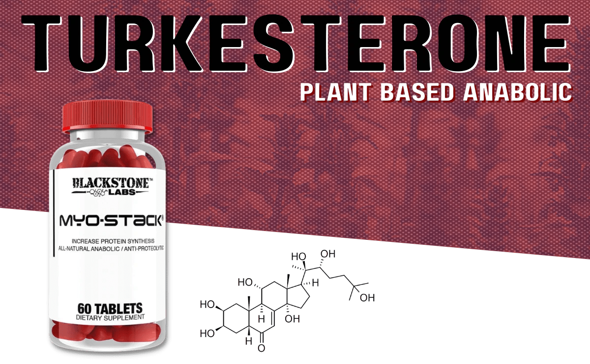 Turkesterone (Ajuga Turkestanica) - Plant-Based Anabolic - RED SUPPS